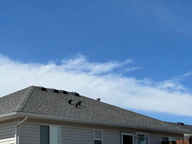 Best Steel Roofing  in League City, TX